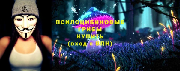 apvp Абаза