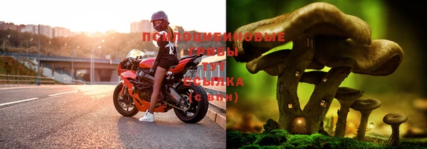 apvp Абаза