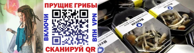 сколько стоит  Слюдянка  Галлюциногенные грибы GOLDEN TEACHER 
